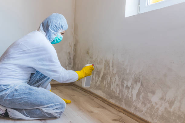 Licensed Mold Removal service in Fairfax Station, VA - WQB Mold Removal