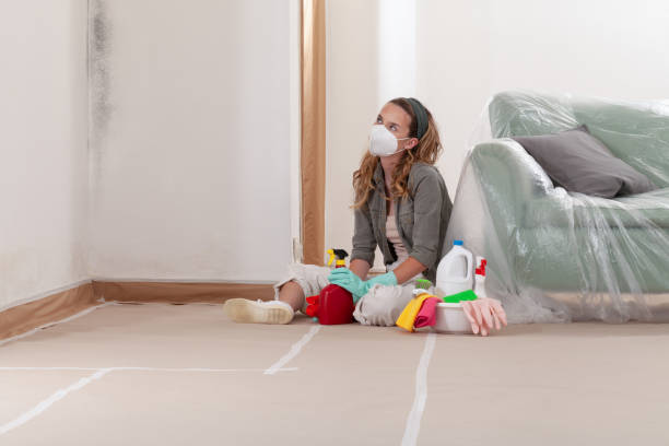 Reliable Mold Removal contractor in Fairfax Station, VA by WQB Mold Removal