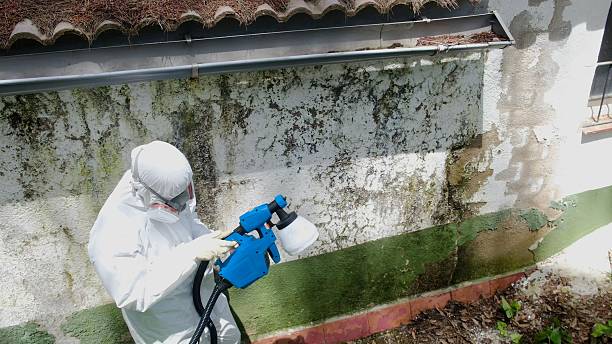 Top rated local Mold Removal specialists in Fairfax Station, VA